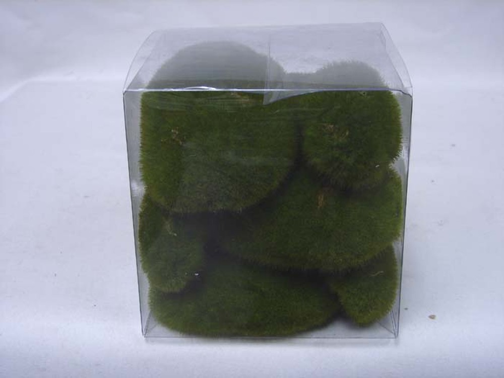 Other Material Botanical ball&filler