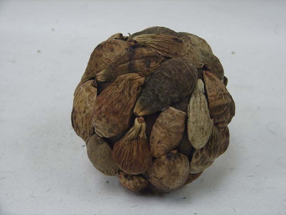 Other Material Botanical ball&filler