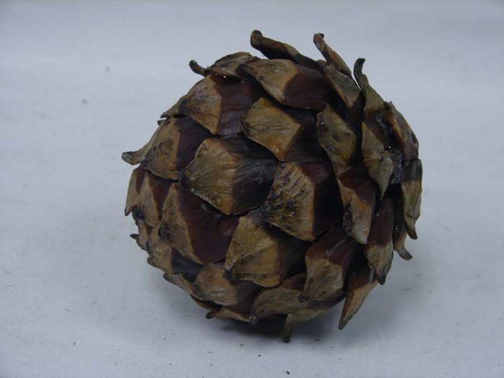 Other Material Botanical ball&filler