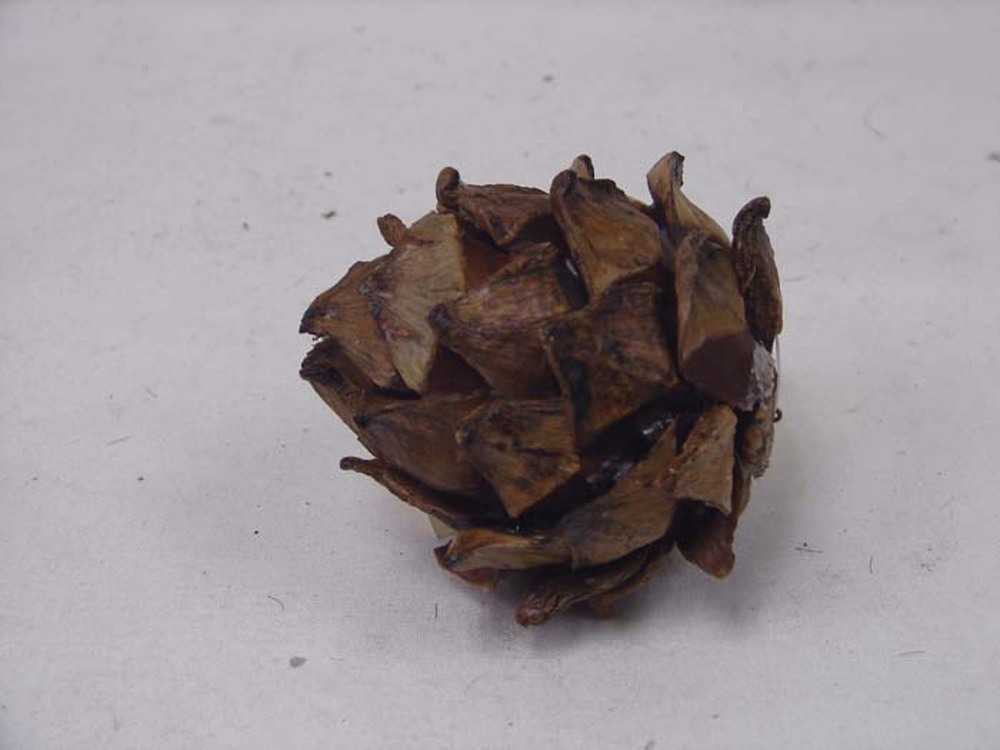 Other Material Botanical ball&filler