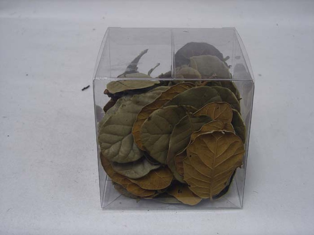 Other Material Botanical ball&filler