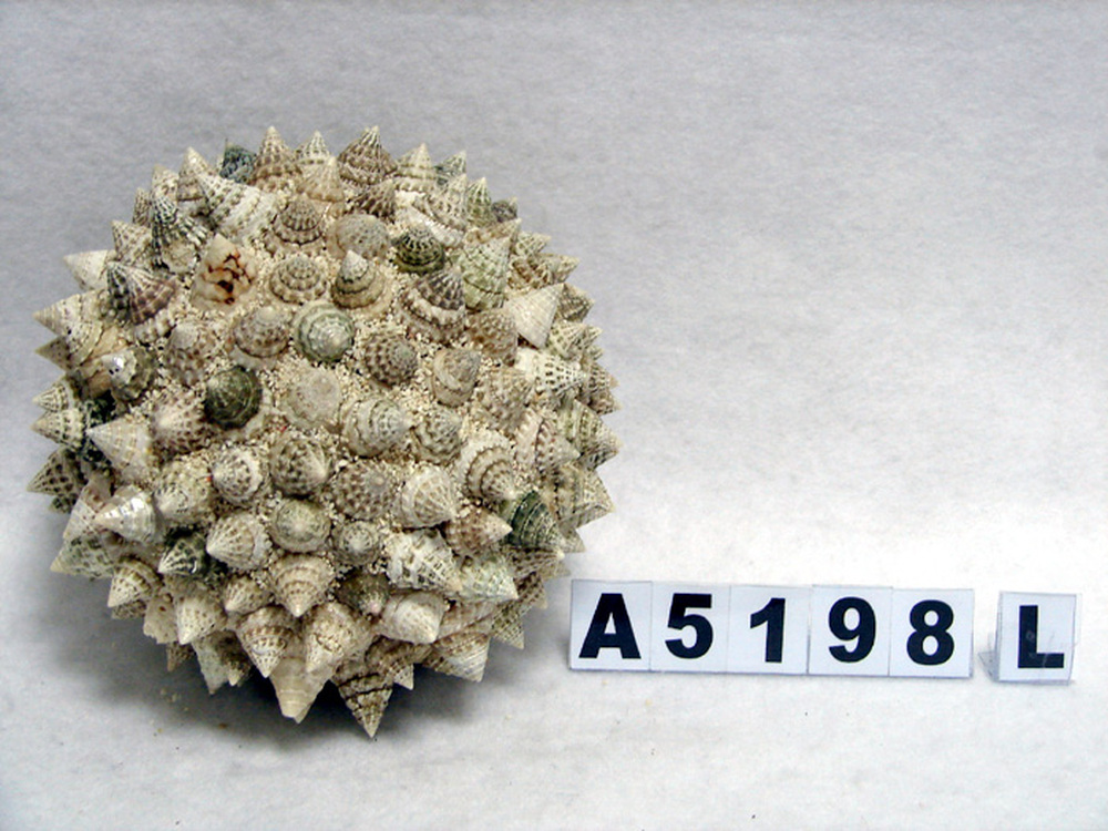 Other Material/Botanical ball&filler