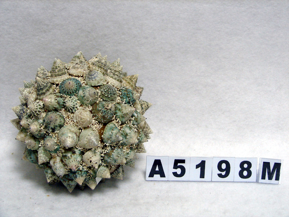 Other Material/Botanical ball&filler