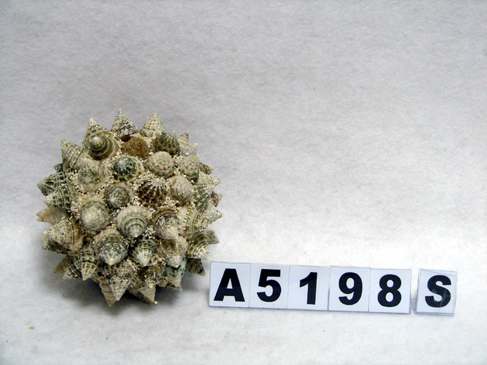 Other Material/Botanical ball&filler