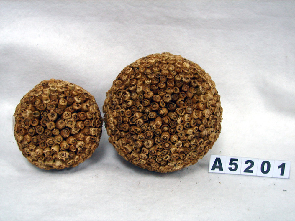 Other Material/Botanical ball&filler