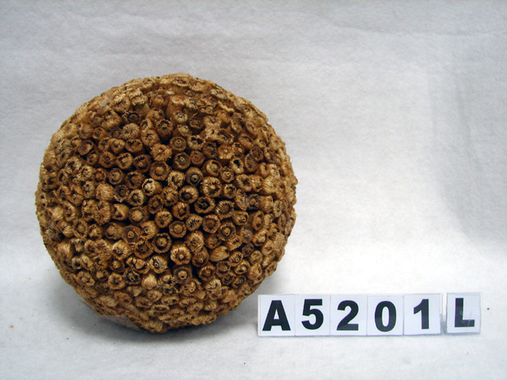 Other Material/Botanical ball&filler