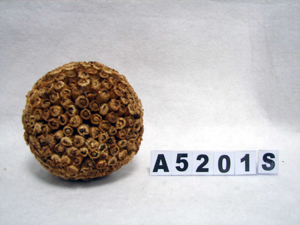Other Material/Botanical ball&filler