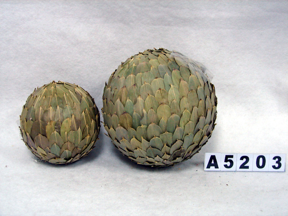 Other Material/Botanical ball&filler