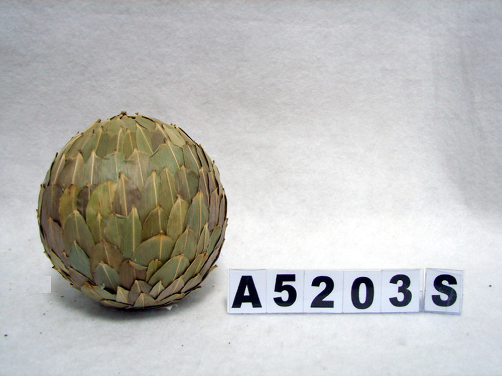 Other Material/Botanical ball&filler