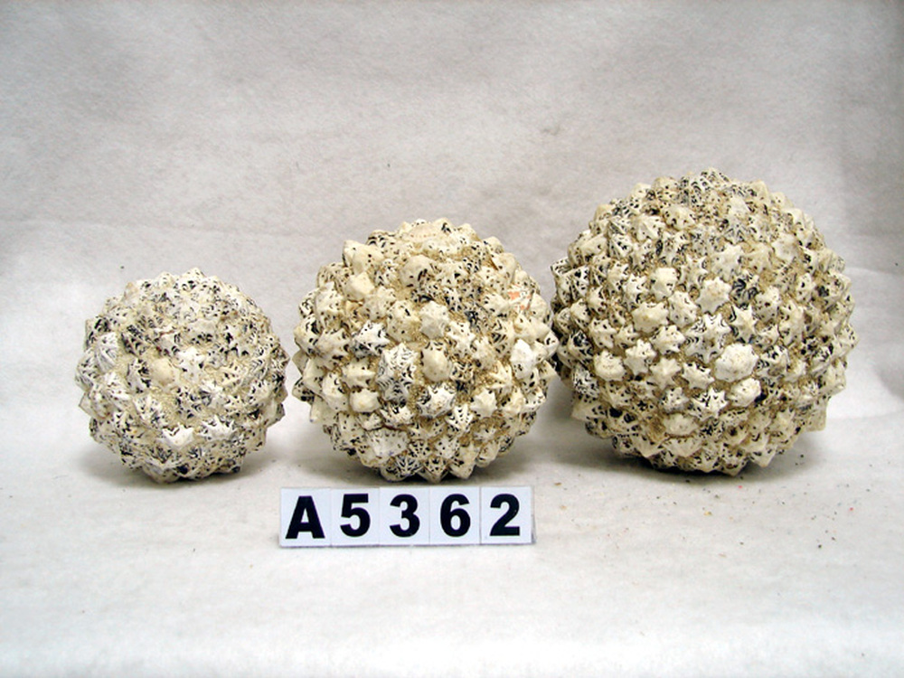 Other Material/Botanical ball&filler
