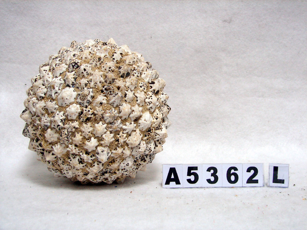 Other Material/Botanical ball&filler