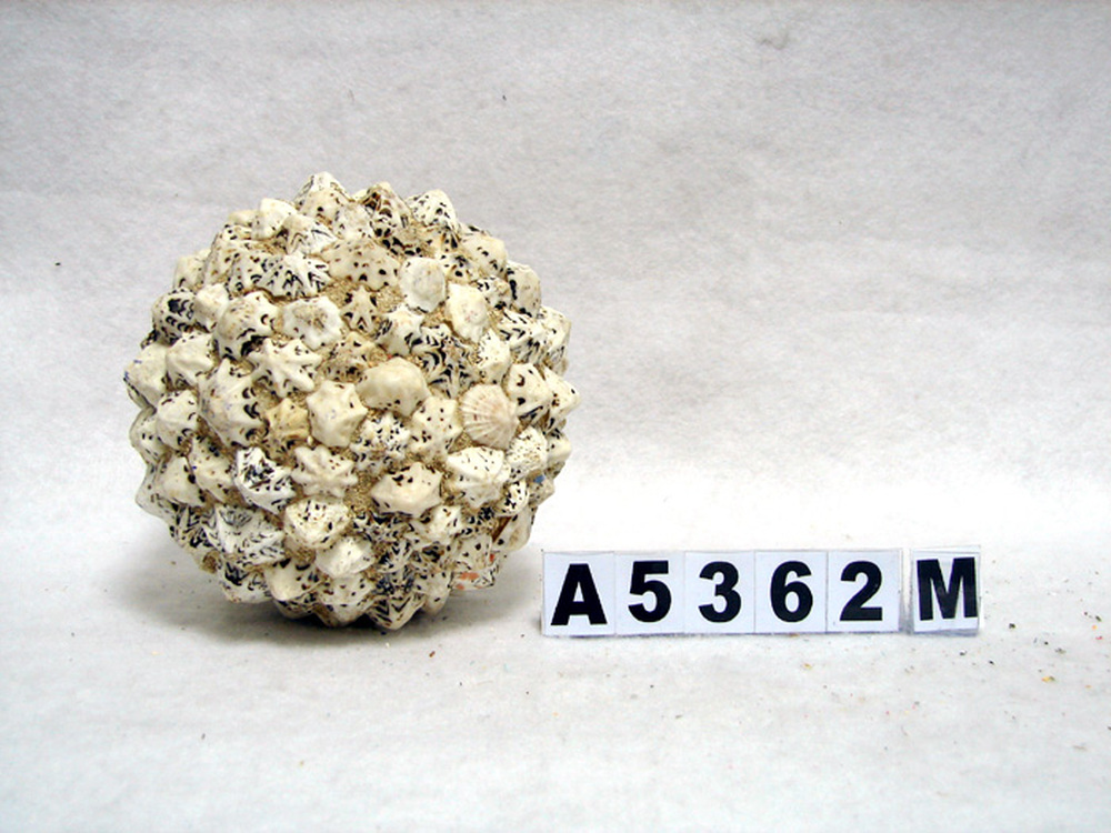 Other Material/Botanical ball&filler