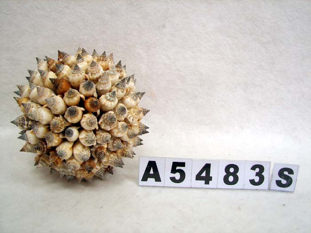 Other Material/Botanical ball&filler