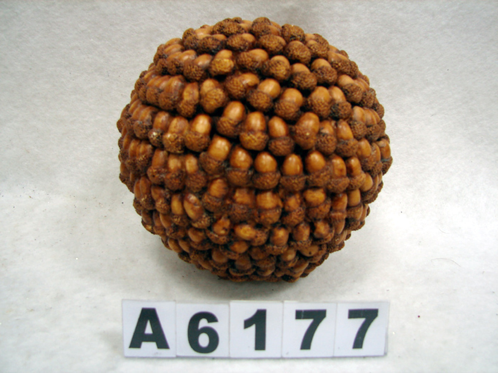 Other Material/Botanical ball&filler