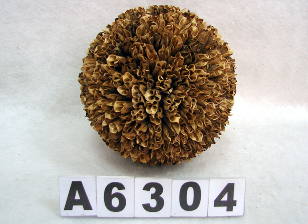 Other Material/Botanical ball&filler