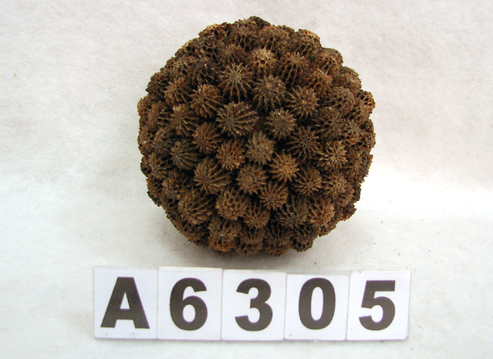 Other Material/Botanical ball&filler