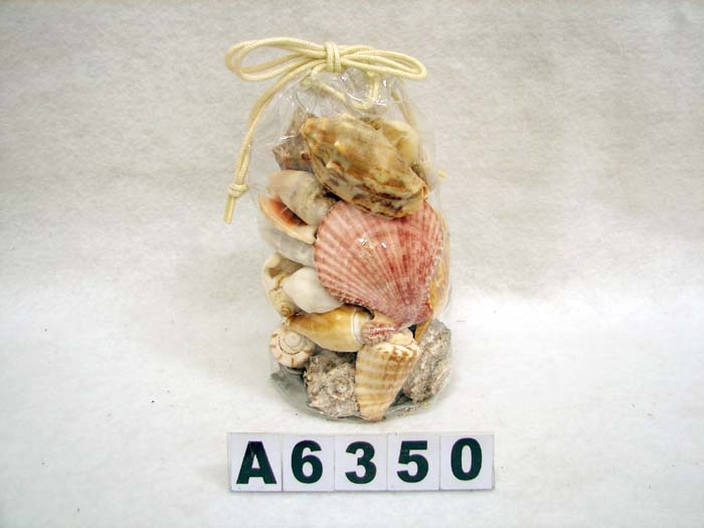 Other Material/Botanical ball&filler
