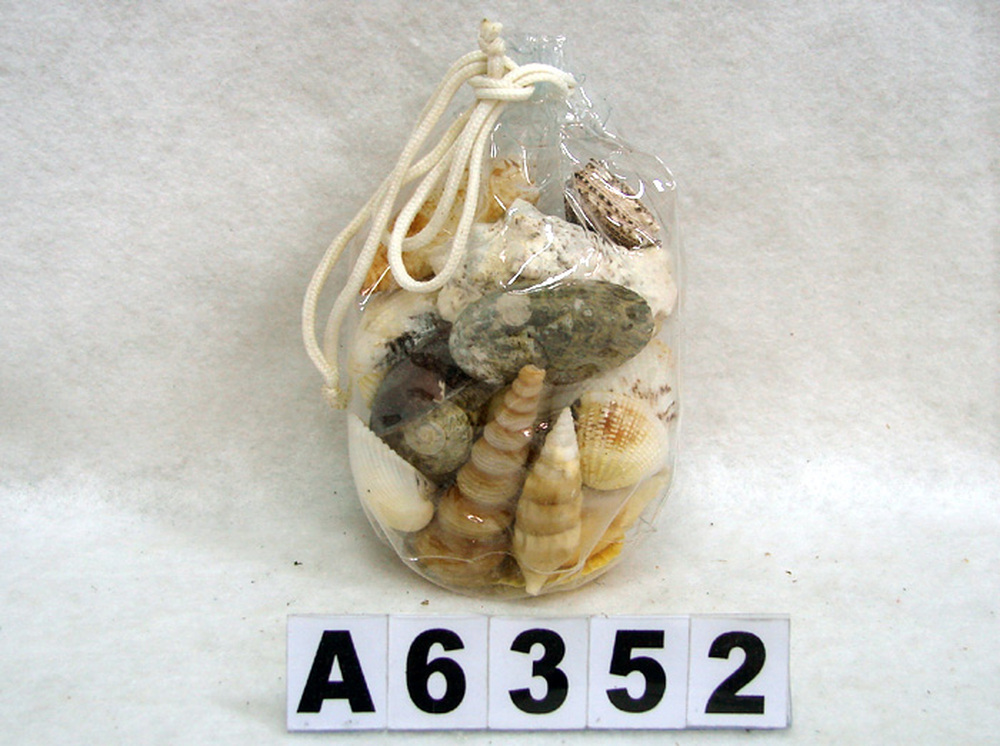 Other Material/Botanical ball&filler