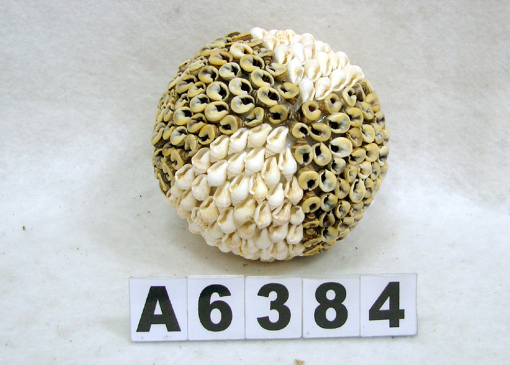 Other Material/Botanical ball&filler