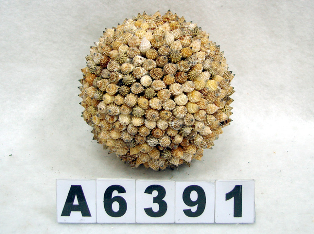 Other Material/Botanical ball&filler