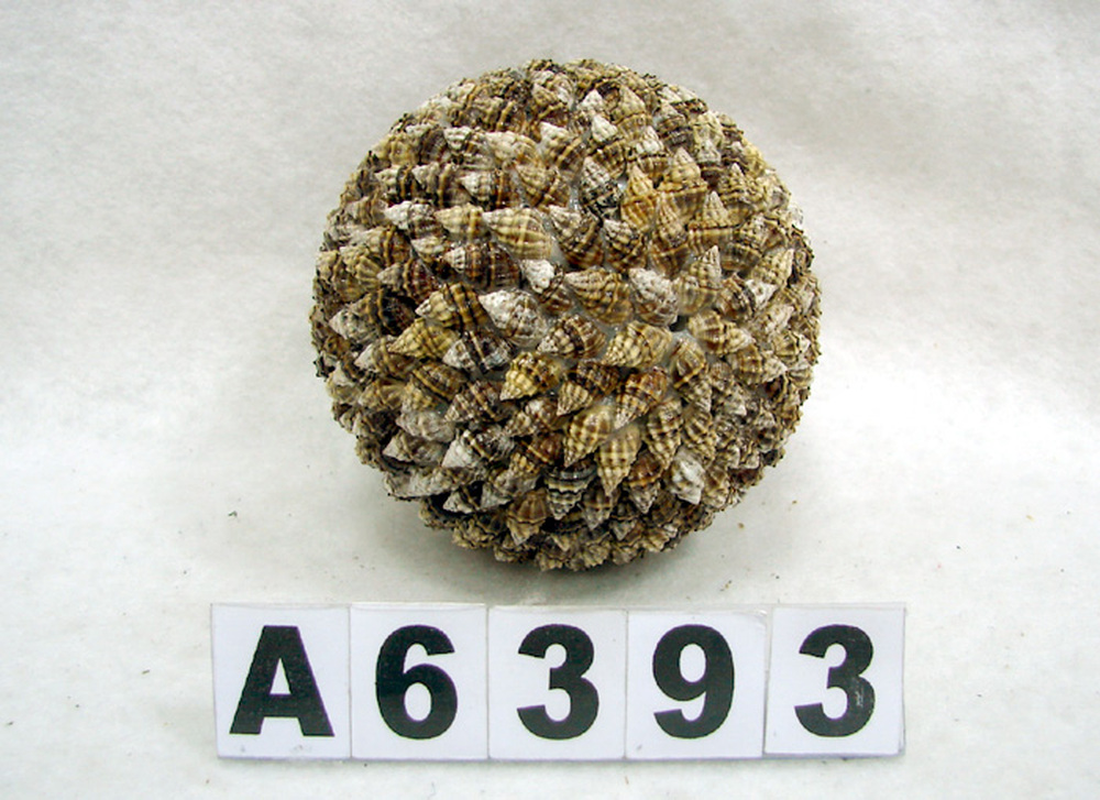 Other Material/Botanical ball&filler