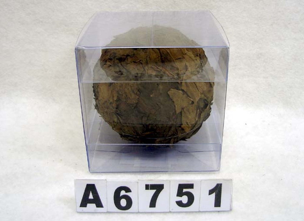 Other Material/Botanical ball&filler