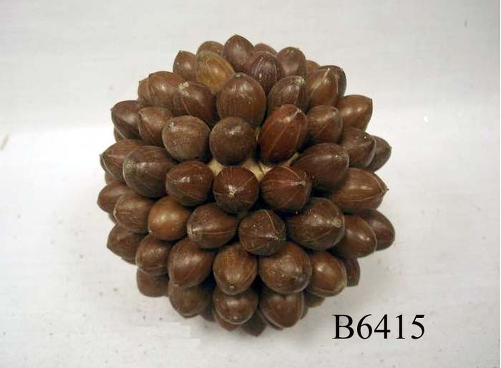 Other Material/Botanical ball&filler