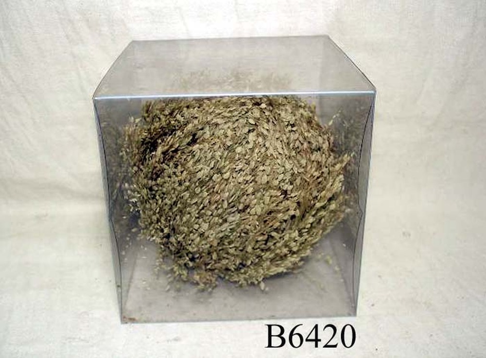Other Material/Botanical ball&filler