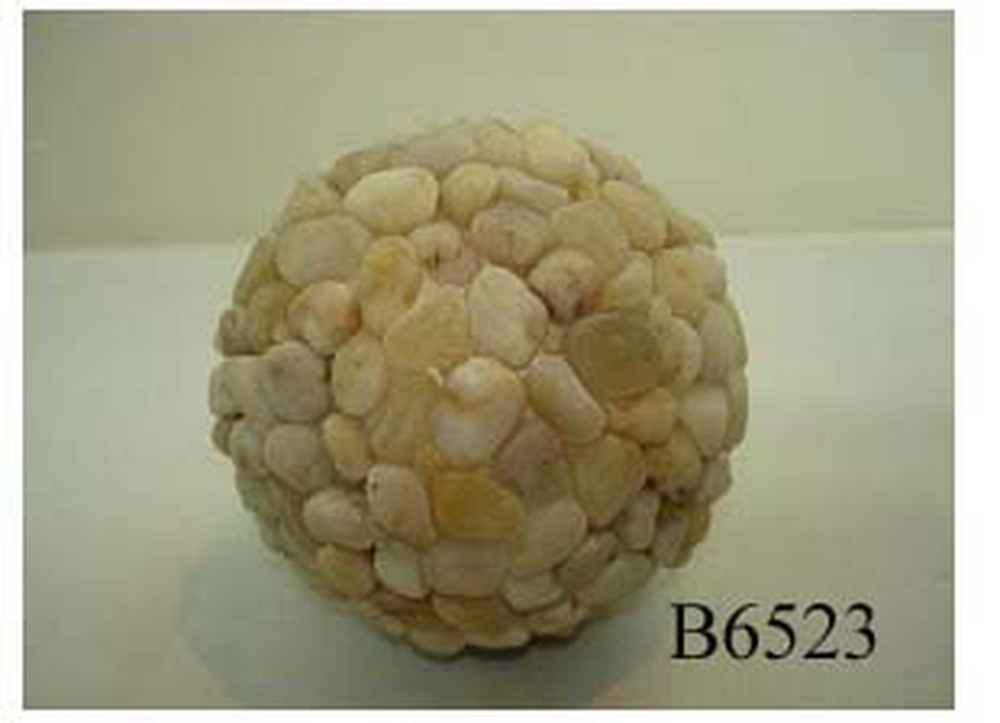 Other Material/Botanical ball&filler
