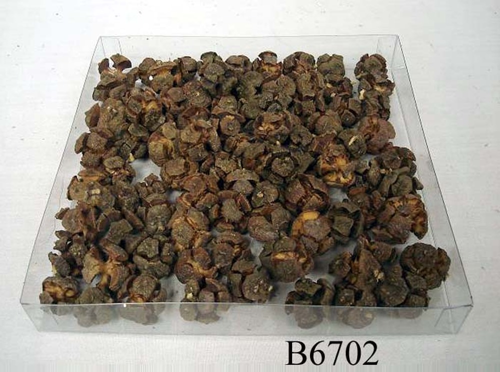Other Material/Botanical ball&filler