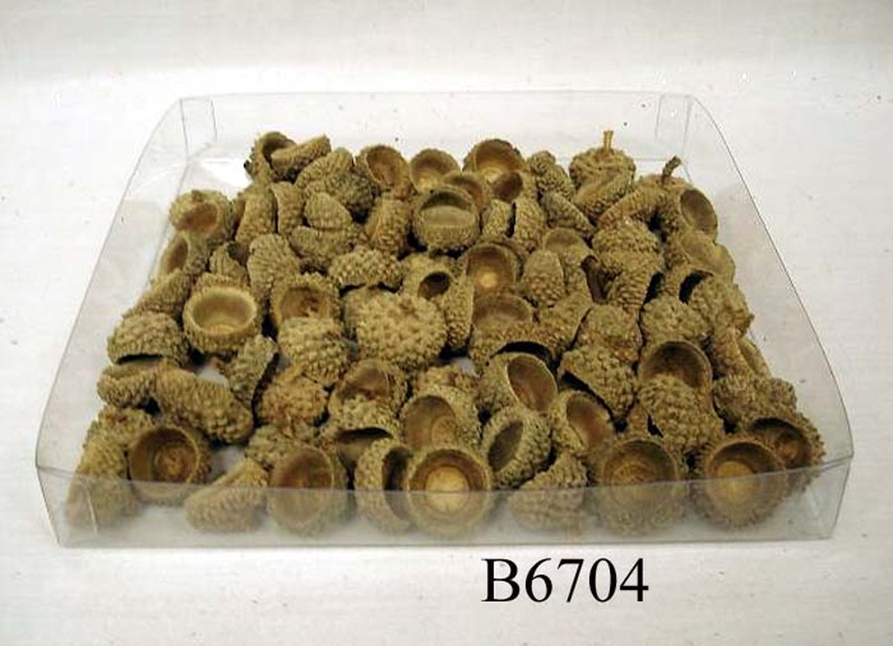 Other Material/Botanical ball&filler