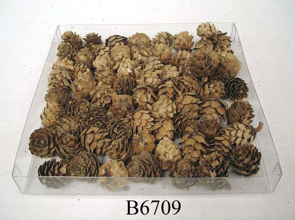 Other Material/Botanical ball&filler