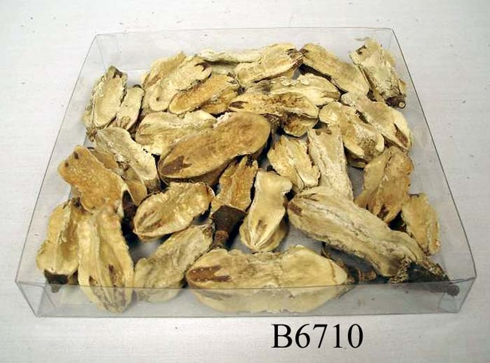 Other Material/Botanical ball&filler