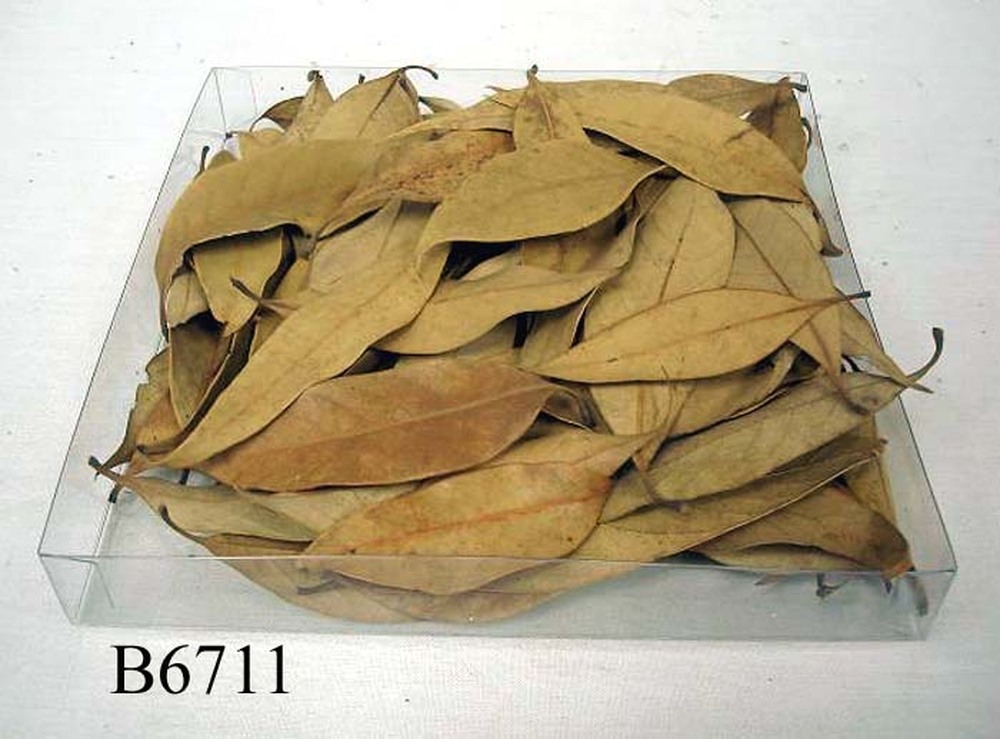 Other Material/Botanical ball&filler