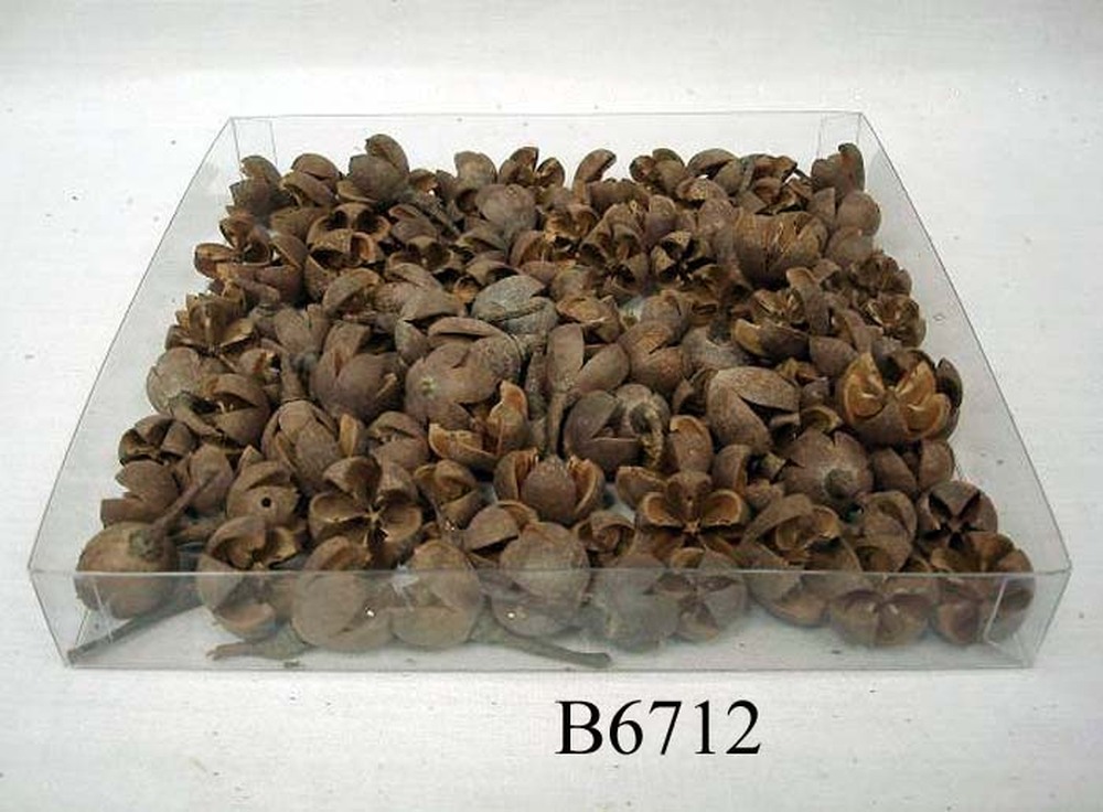 Other Material/Botanical ball&filler