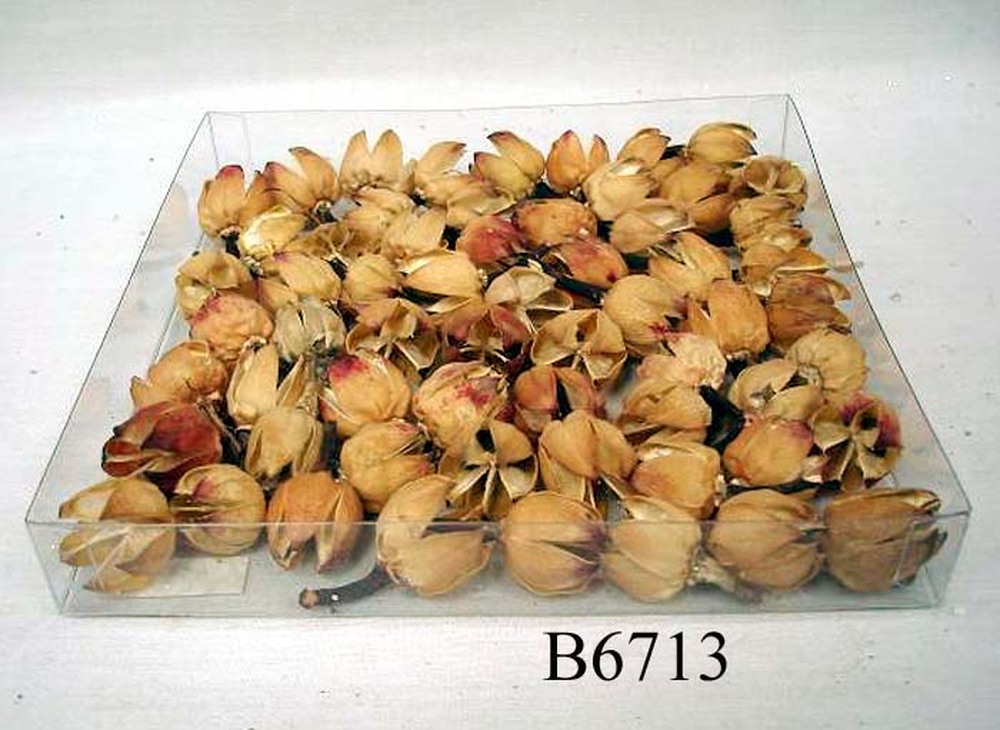 Other Material/Botanical ball&filler