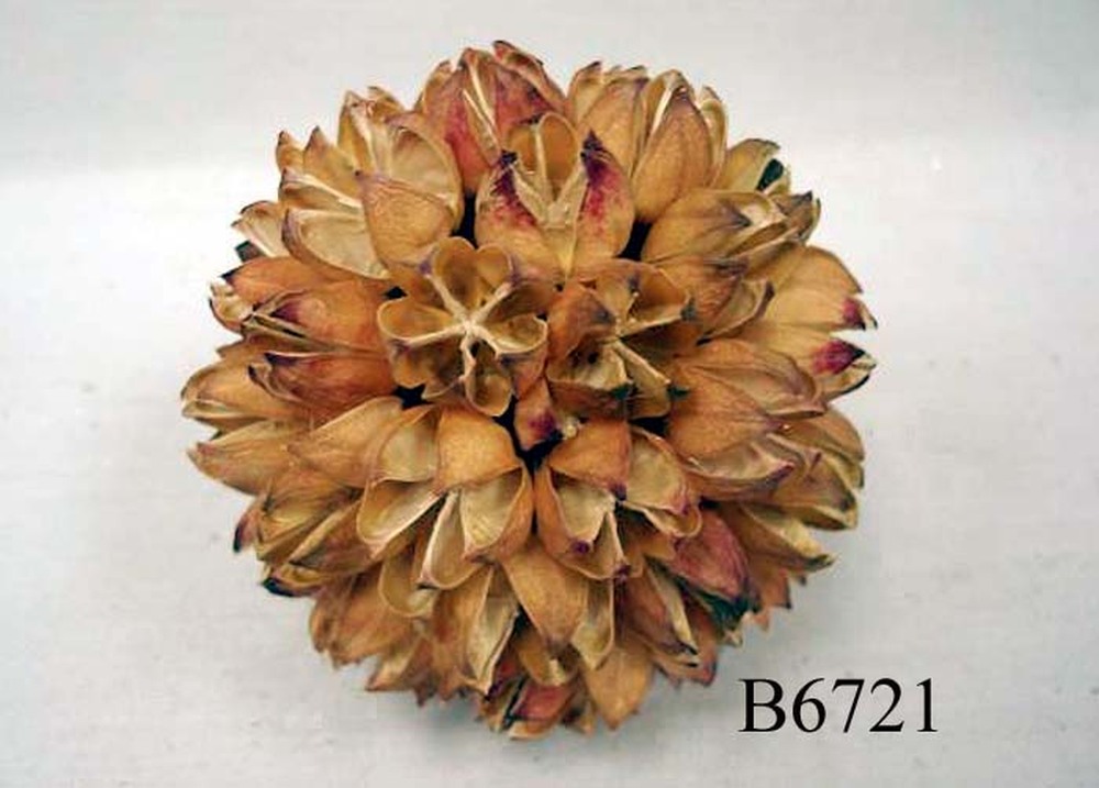 Other Material/Botanical ball&filler