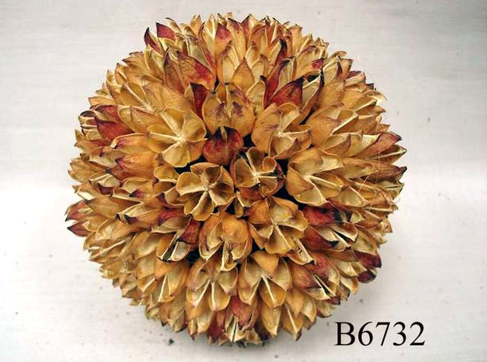 Other Material/Botanical ball&filler