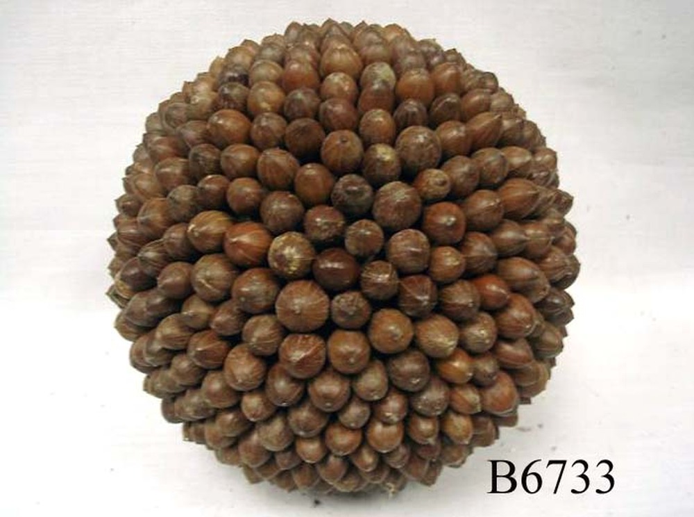 Other Material/Botanical ball&filler