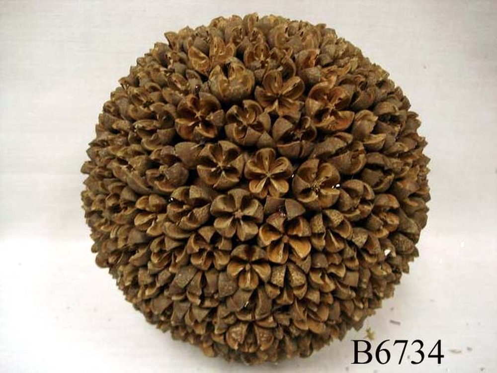 Other Material/Botanical ball&filler