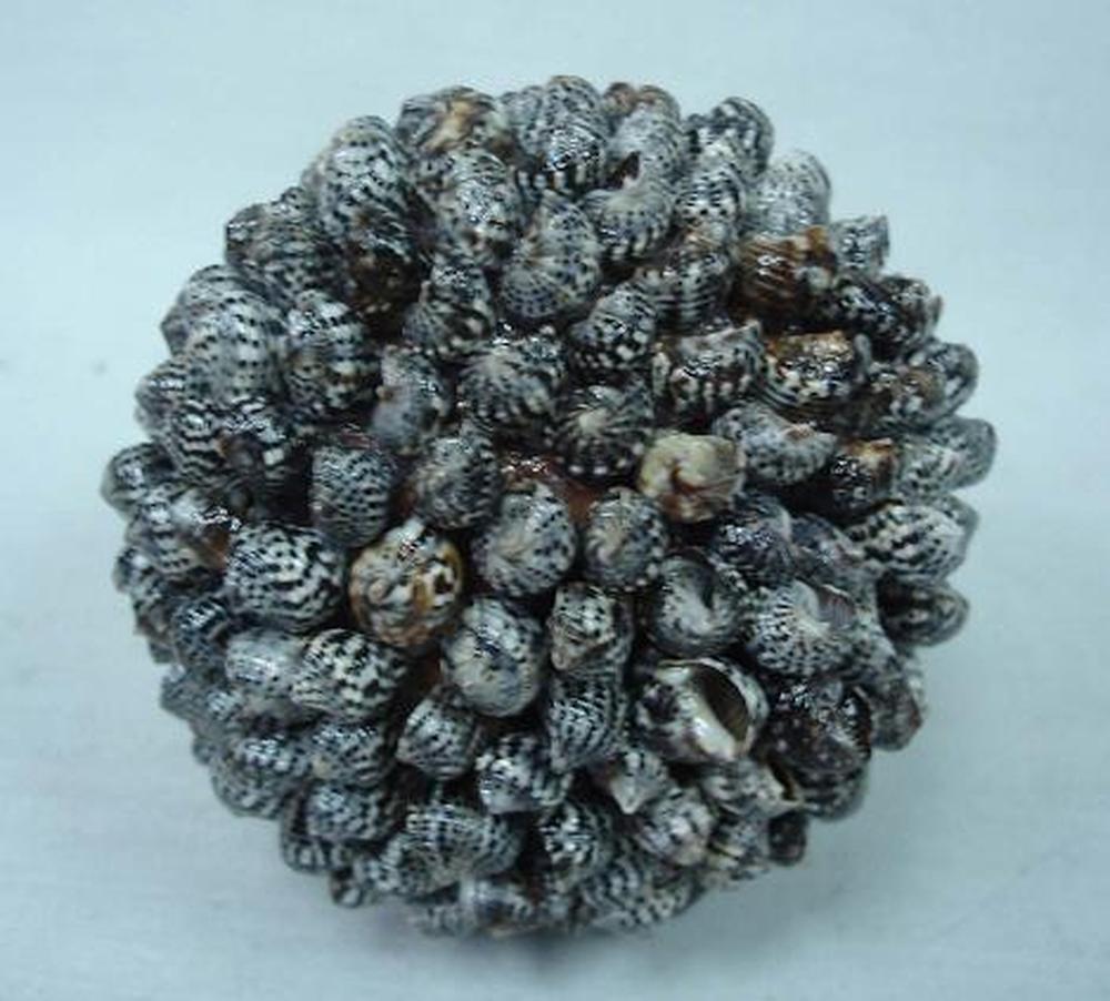 Other Material Botanical ball&filler