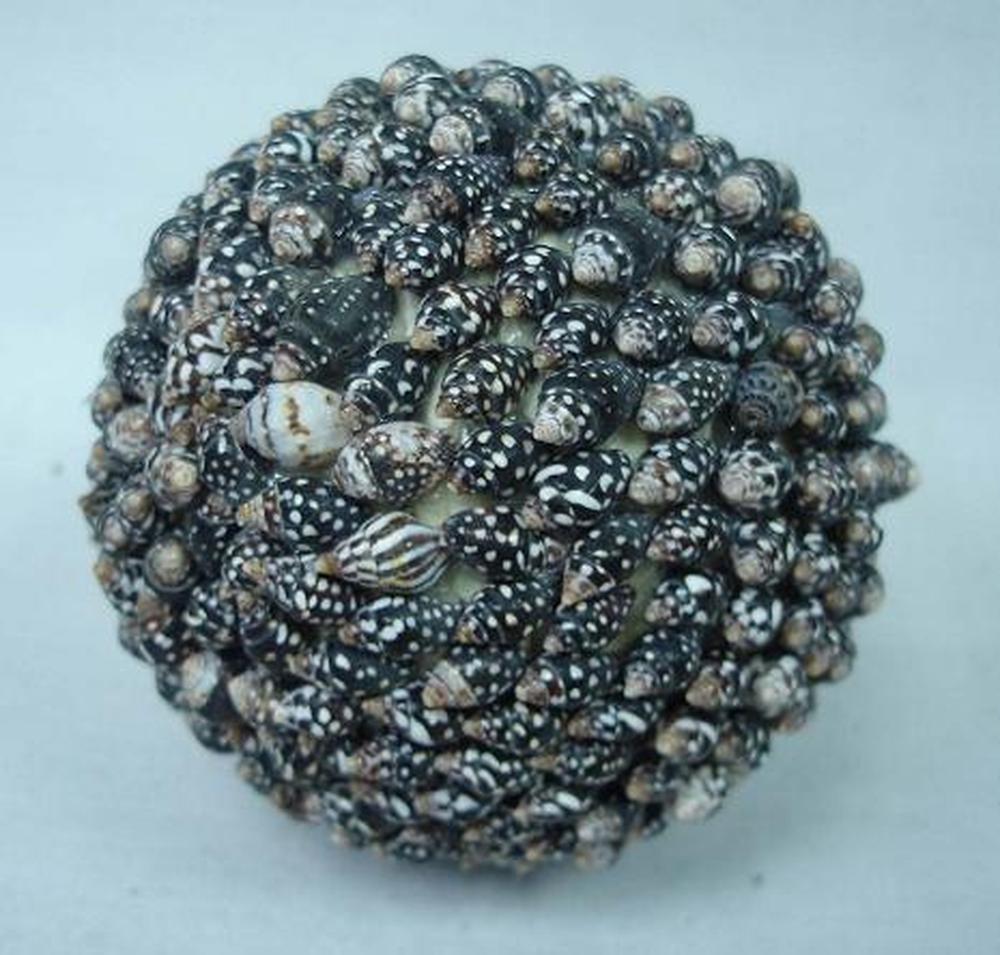 Other Material Botanical ball&filler