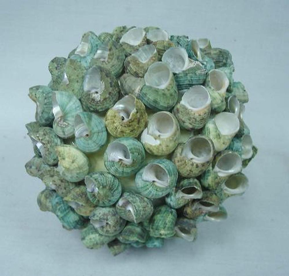 Other Material Botanical ball&filler
