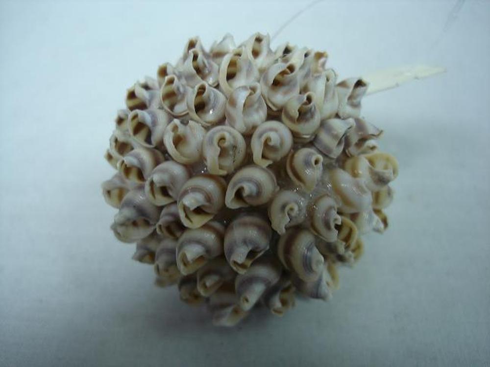 Other Material Botanical ball&filler