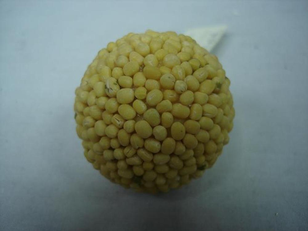 Other Material Botanical ball&filler