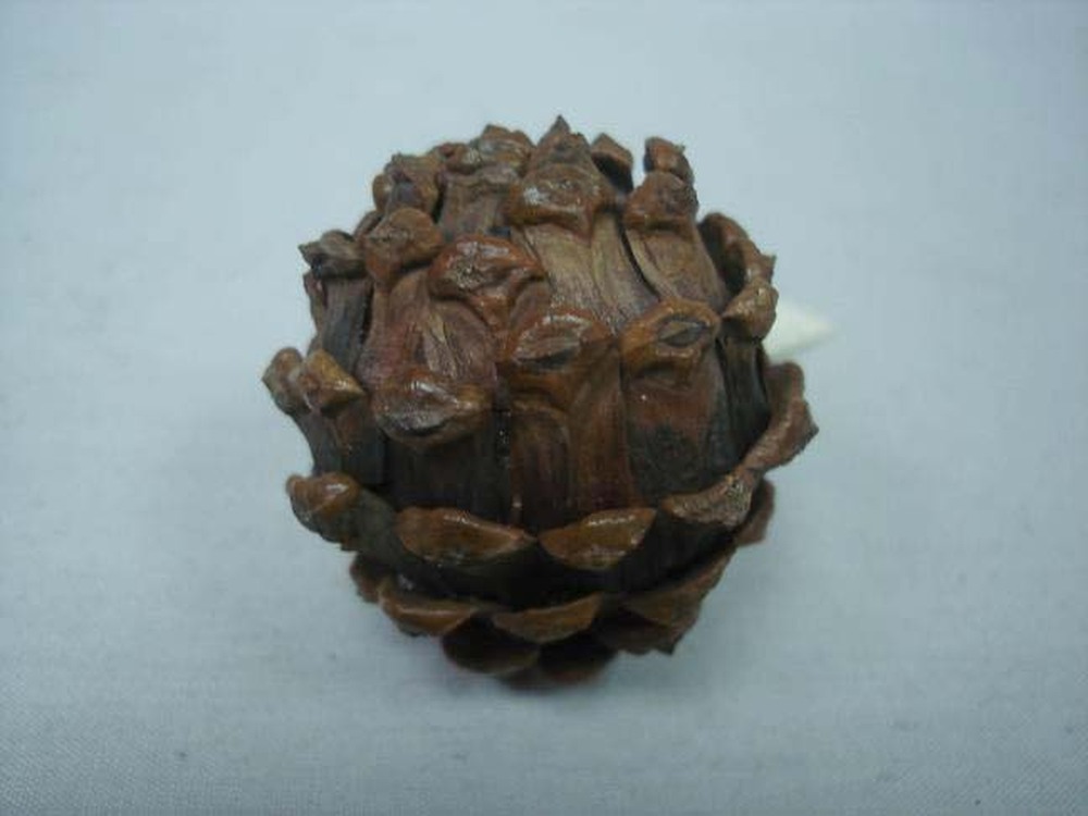 Other Material Botanical ball&filler