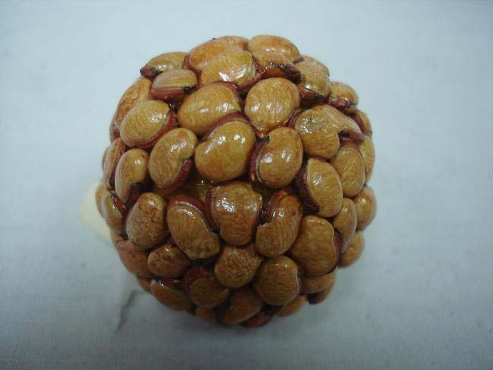 Other Material Botanical ball&filler