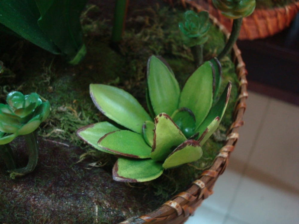 Other Material/Botanical greenerly