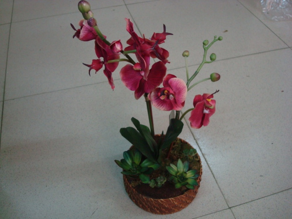 Other Material/Botanical greenerly