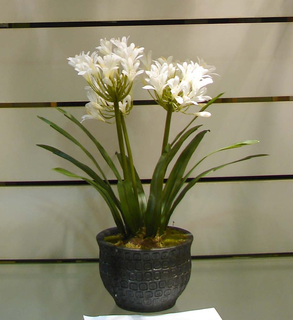 Other Material/Botanical greenerly